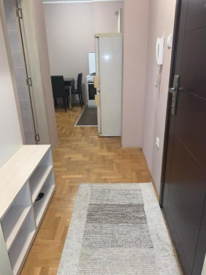 Apartman Grbavica021